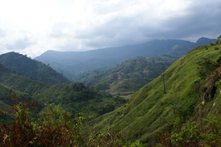 Terreno agrícola en venta. Choroní.