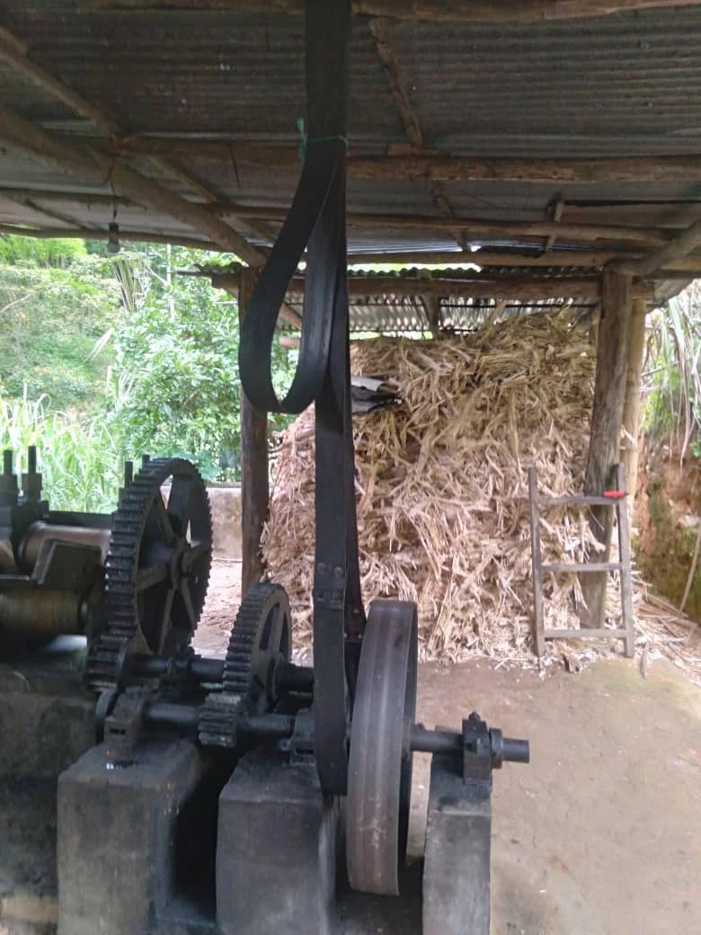 Terreno agrícola en venta. Choroní.